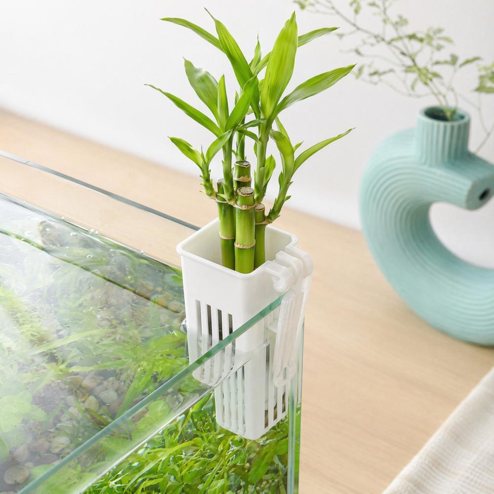 Aquarium Planted Wall - Wandmontierter Hydroponik-Pflanzbehälter für Aquarien und Fischbecken