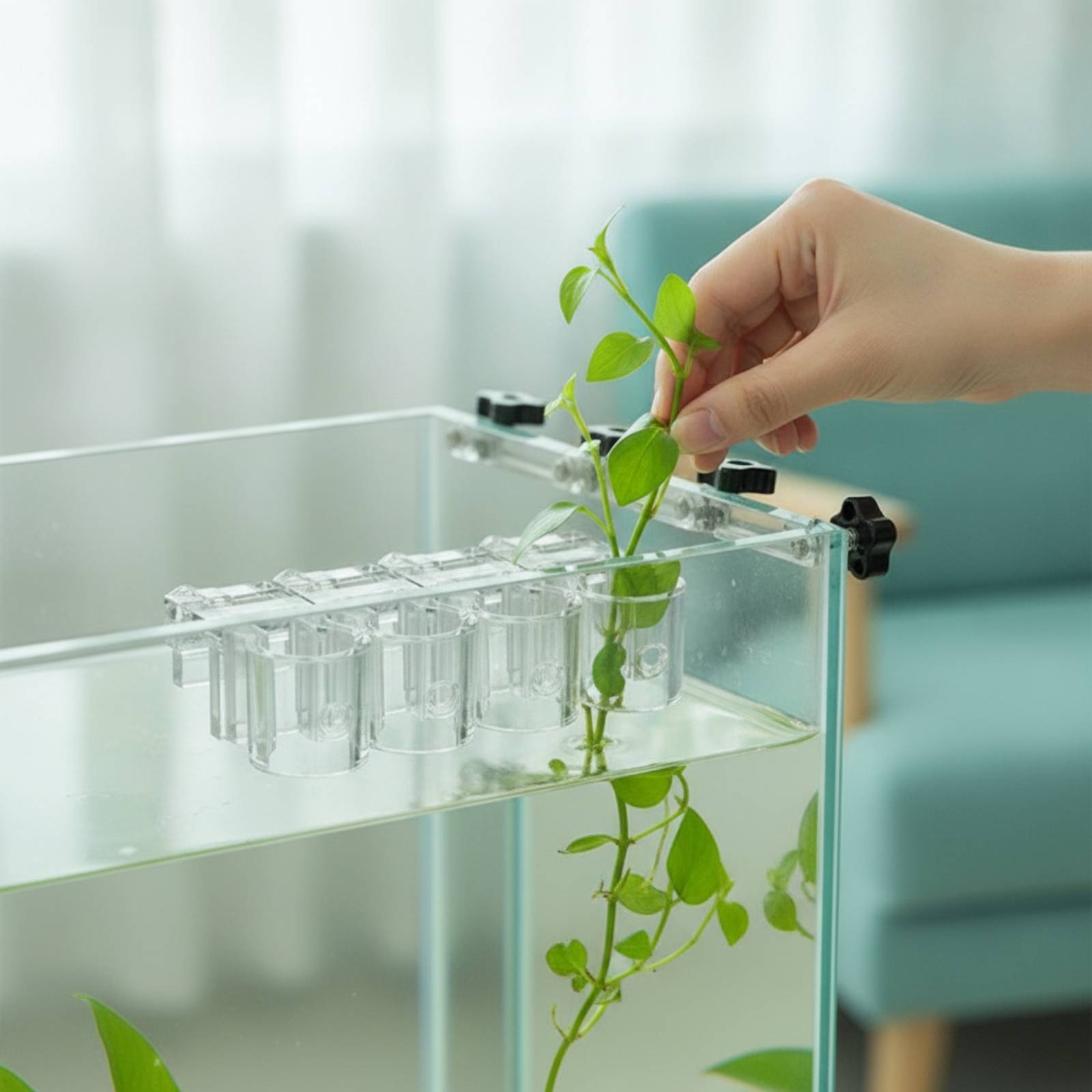 Aquarium Plants - 6 Stück Aquarium-Pflanzhalter, transparente Hydrokultur-Stützklammern mit