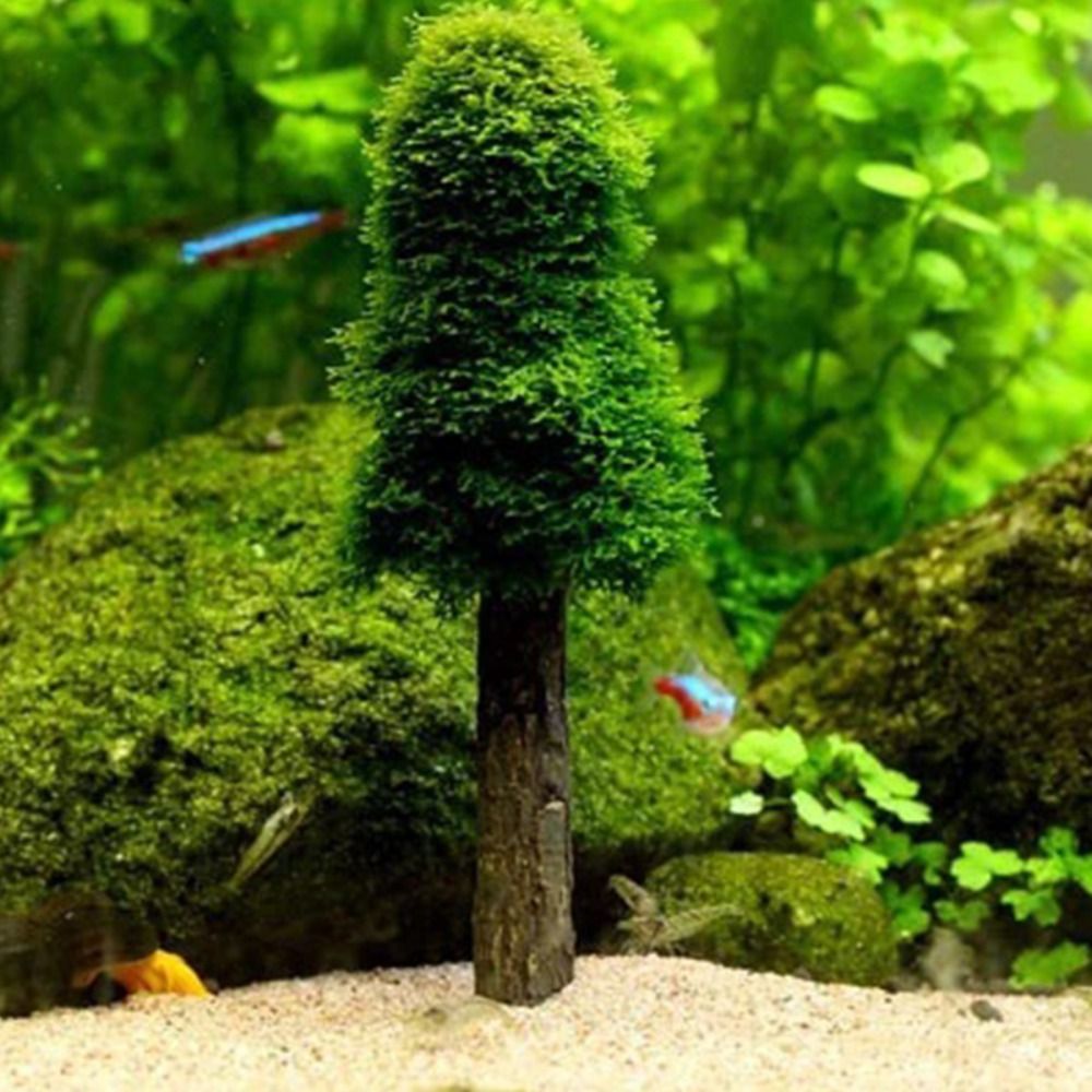 Aquarium Planted Tree - Simulierter Weihnachtsbaum Aquarium-Moos-Pflanzenhalter Mini-Baumform Aquariumzubehör Aquariumdekoration