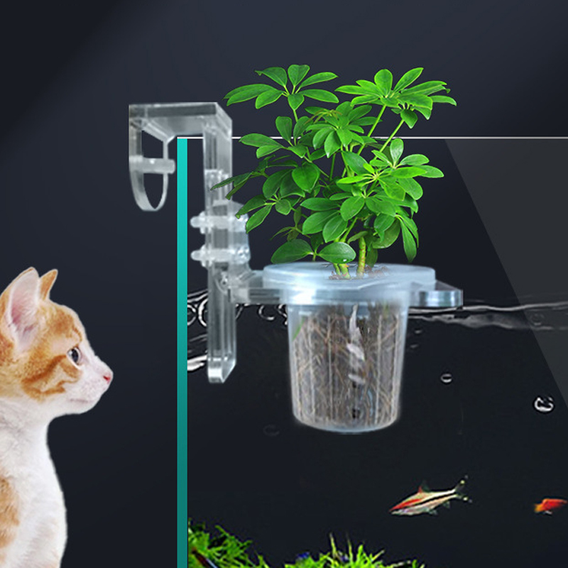 Aquarium Planted Wall - Aquarium Pflanzbecher Hydrokultur Stützkorb Wasser Gras
