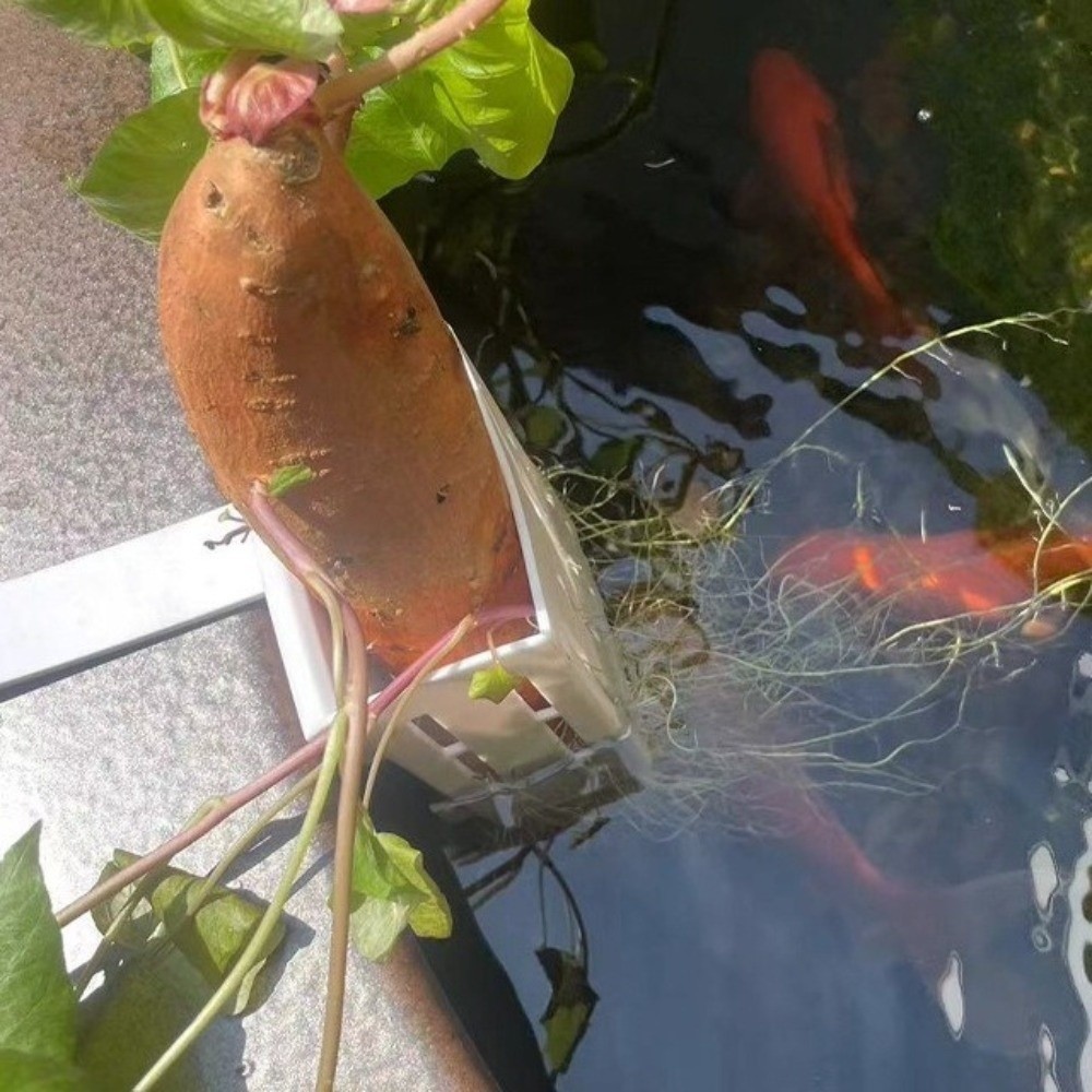 Aquarium Planted Wall - Wandmontierter Aquarium-Pflanzenkorb Kunststoff-Wasserkultur-Pflanzgefäß Hydroponischer Hängepflanzkorb Pflanzbehälter