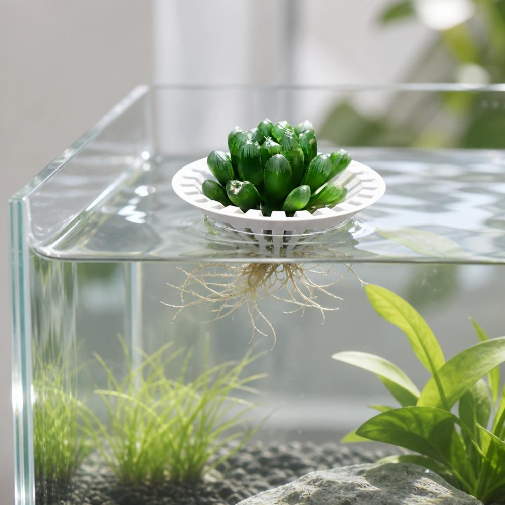 Aquarium Planted Fish Tank - Aquarium Hydroponischer Pflanzentopf 3D-Gedruckter Schwimmender Aquarium-Pflanzenhalter