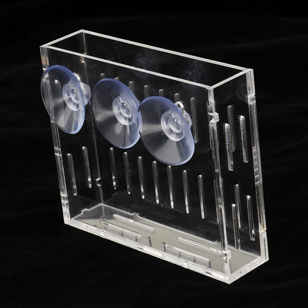 Aquarium Planted Wall - Acryl-Wandvase für Wasserpflanzen, Pflanzgefäß für zylindrische