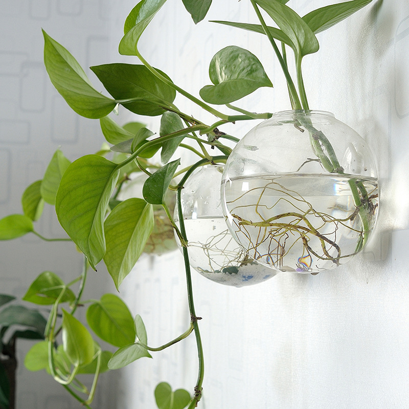 Aquarium Planted Wall - Wandbehang Acryl Fischschale Plexiglas Aquarium Vase