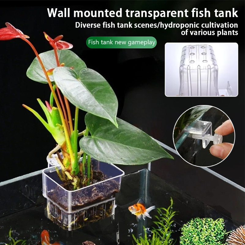 Aquarium Planted Wall - Aquarium Hängepflanzgefäße Wandmontierte Aquatische Pflanzenhalter Aquarium