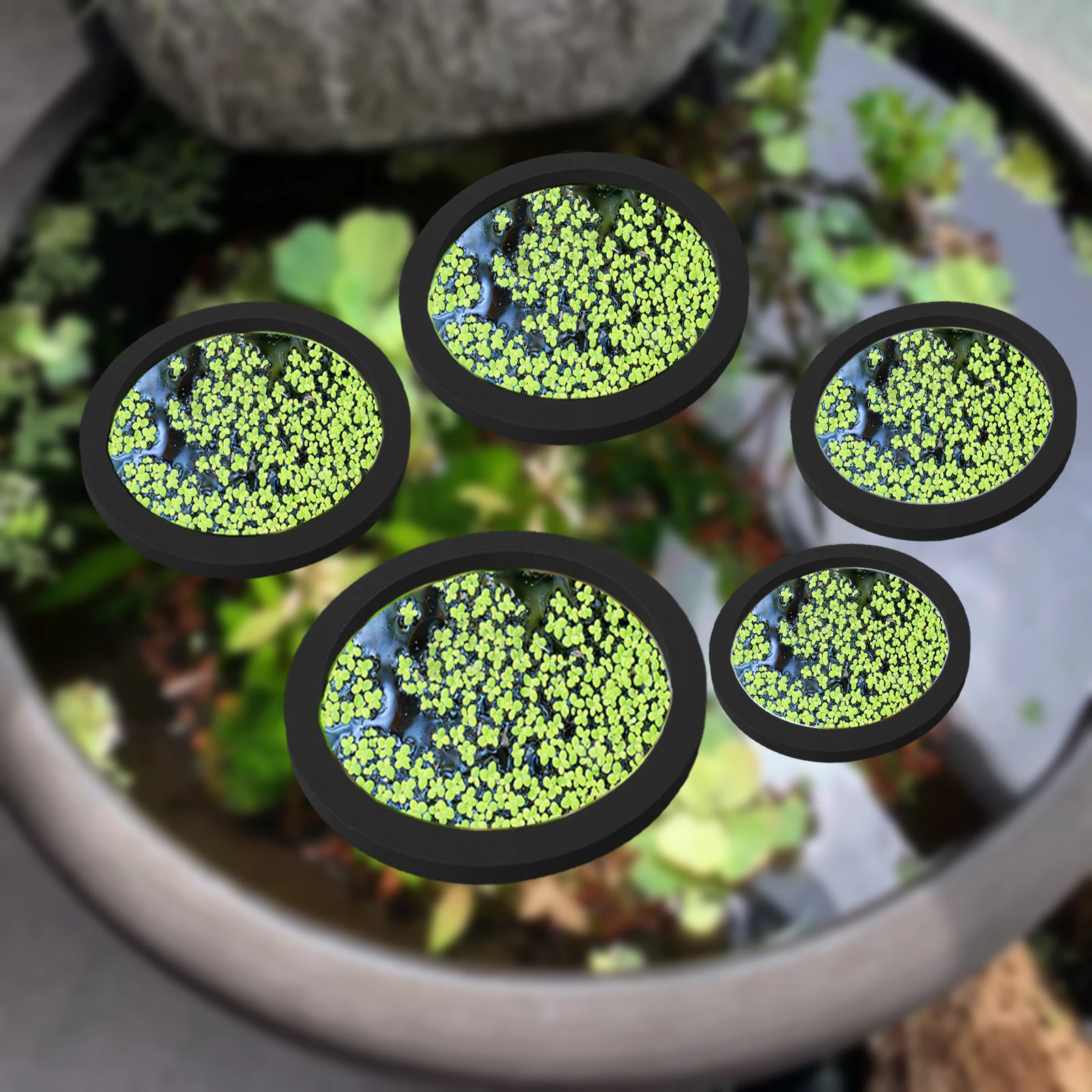 Aquarium Planted Fish Tank - 5Pcs EVA Fisch Fütterung Ring Aquarium