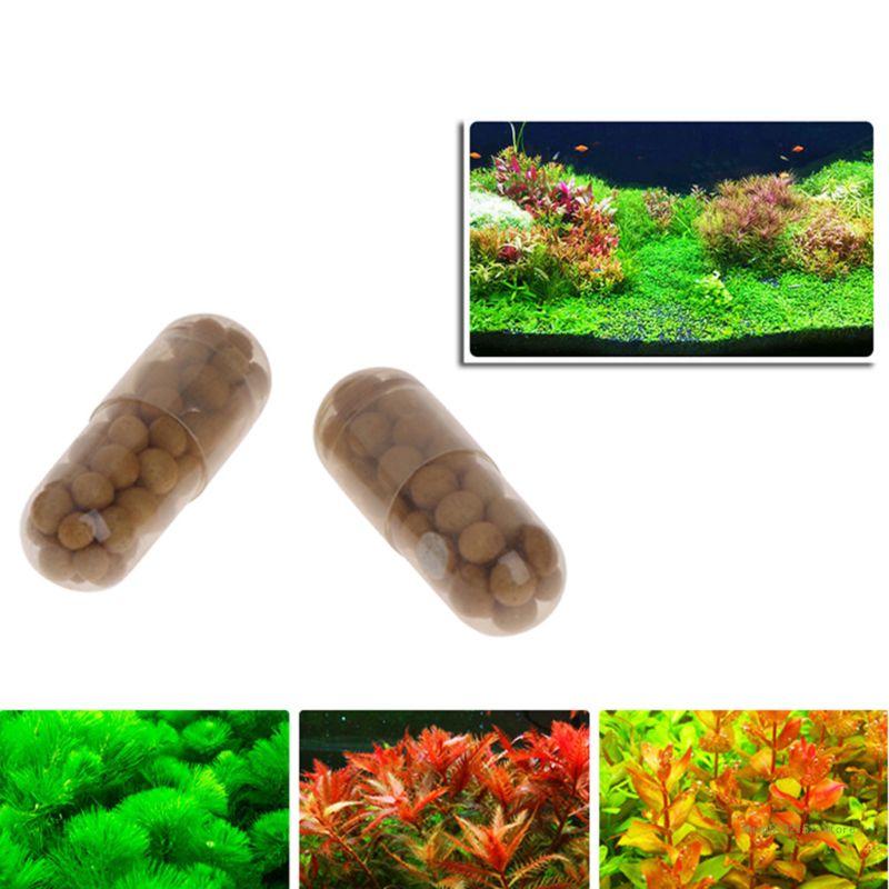 Planted Aquarium Best Fish - QX2E Aquarium-Lebepflanzendünger, Wurzelregisterkarten, Menge 40, Kapseln,