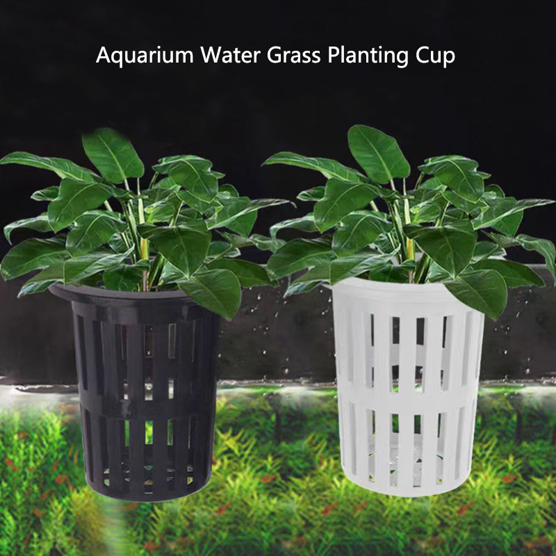 Aquarium Planted Wall - 1/3Pcs Aquarium Pflanzen Korb Wand-Montiert Hydrokultur