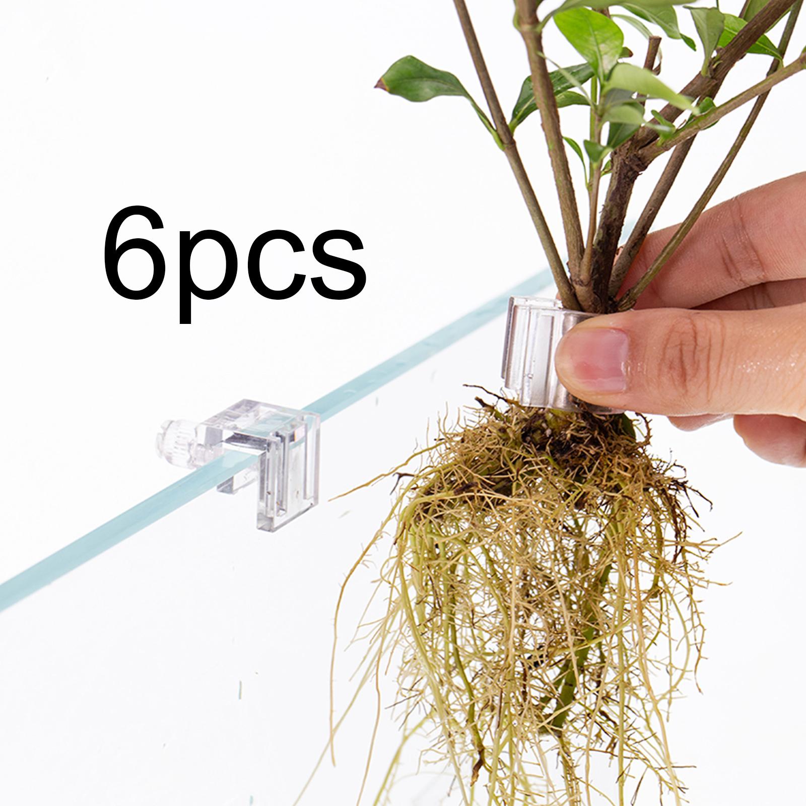 Aquarium Planted Wall - Langlebiger Transparenter Pflanzenhalter für Aquarienwand PC-Becher