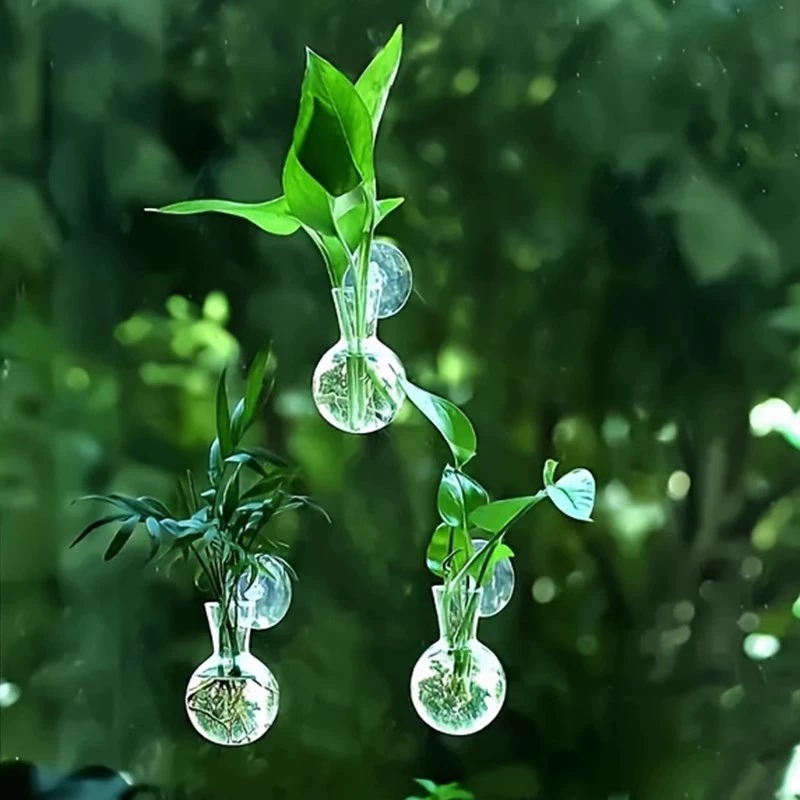Aquarium Planted Wall - Kreative Halbkreisförmige Klasse Wand Vase Blumenteller