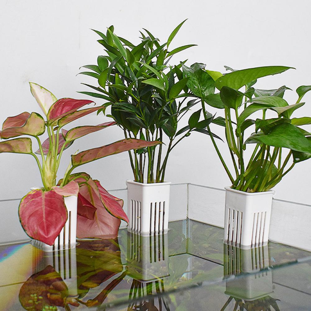 Wandmontierter Hydroponik-Pfla – Aquarium Planted Wall Bewertung und Preis