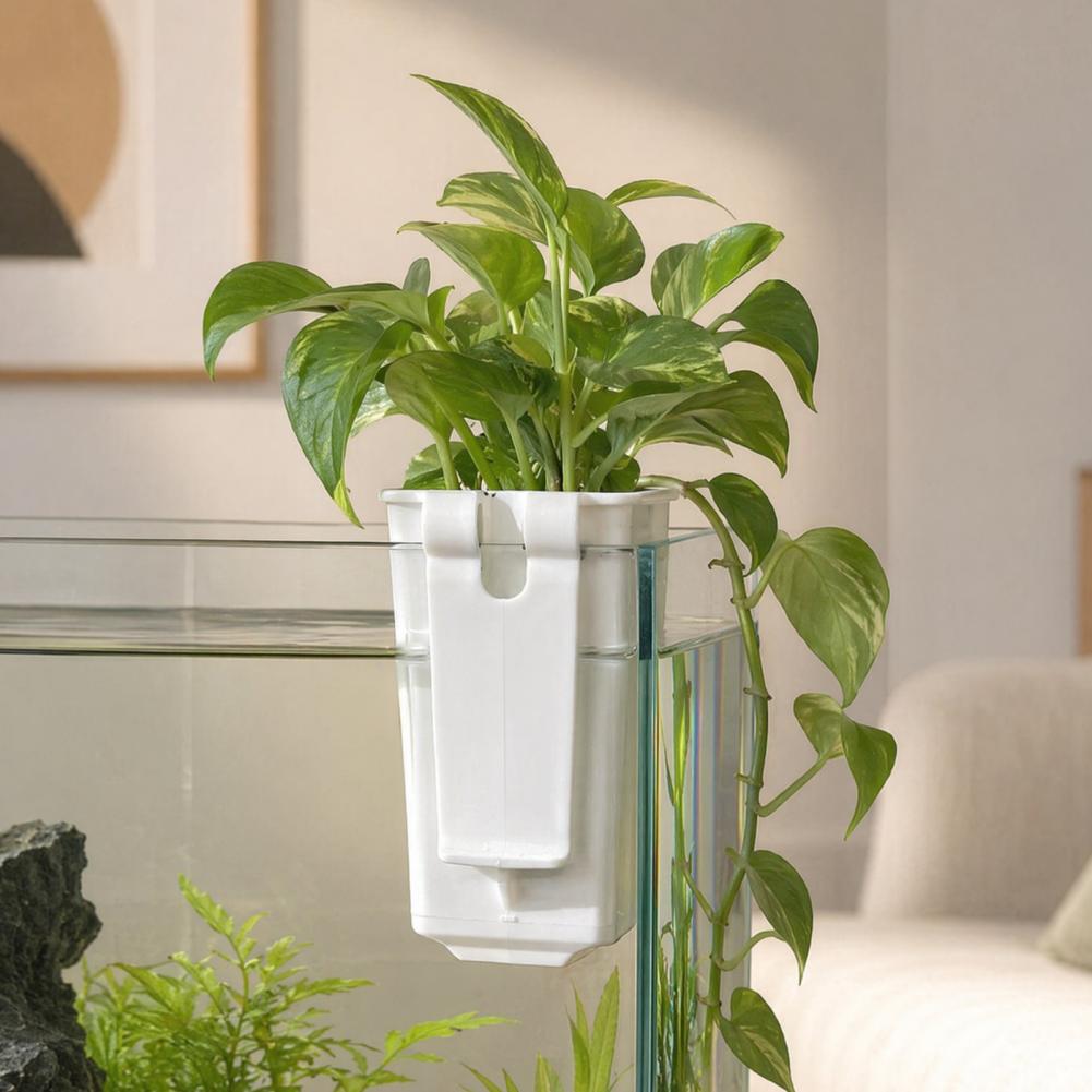 Wandmontierter Hydroponik-Pfla – Aquarium Planted Wall Bewertung und Preis