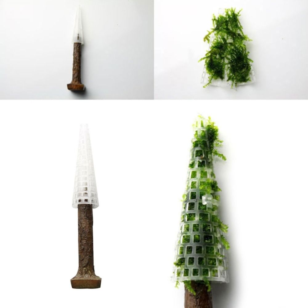 Simulierter Weihnachtsbaum Aqu – Aquarium Planted Tree Bewertung und Preis