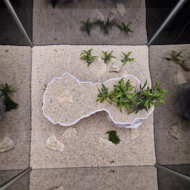 Aquarium 3D-Gedruckter Pflanzk – Aquarium Planted Tank Soil Bewertung und Preis