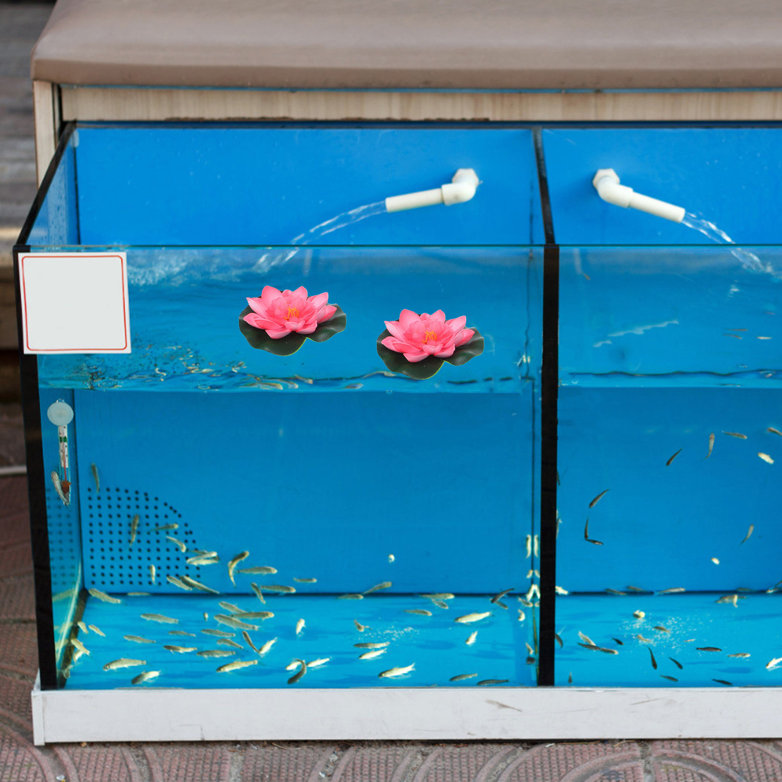 12 Stück künstliche schwimmend – Aquarium Plants Bewertung und Preis