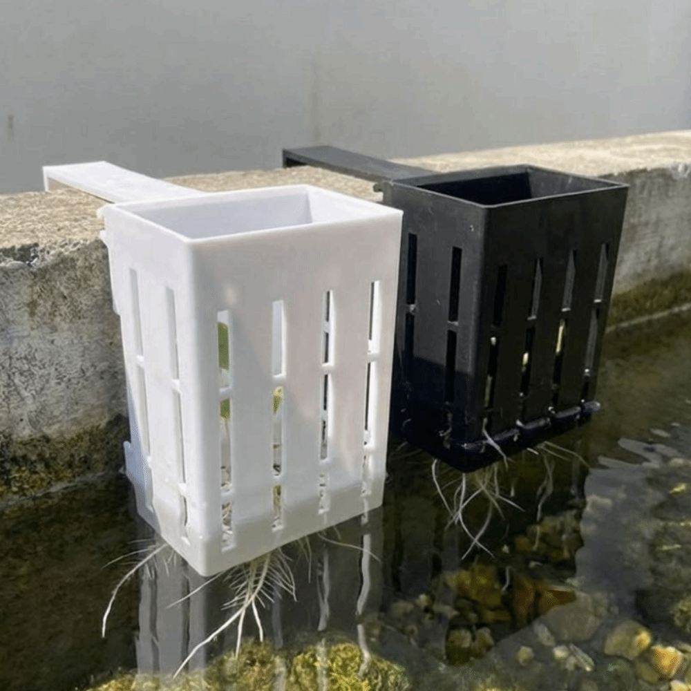 Wandmontierter Aquarium-Pflanz – Aquarium Planted Wall Bewertung und Preis