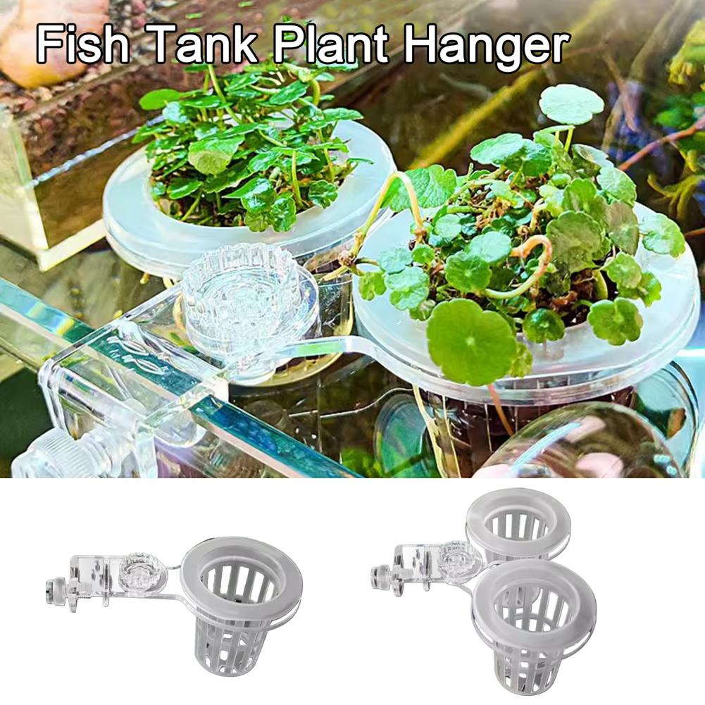 Aquarium Pflanzenhalter Wand-M – Aquarium Planted Wall Bewertung und Preis