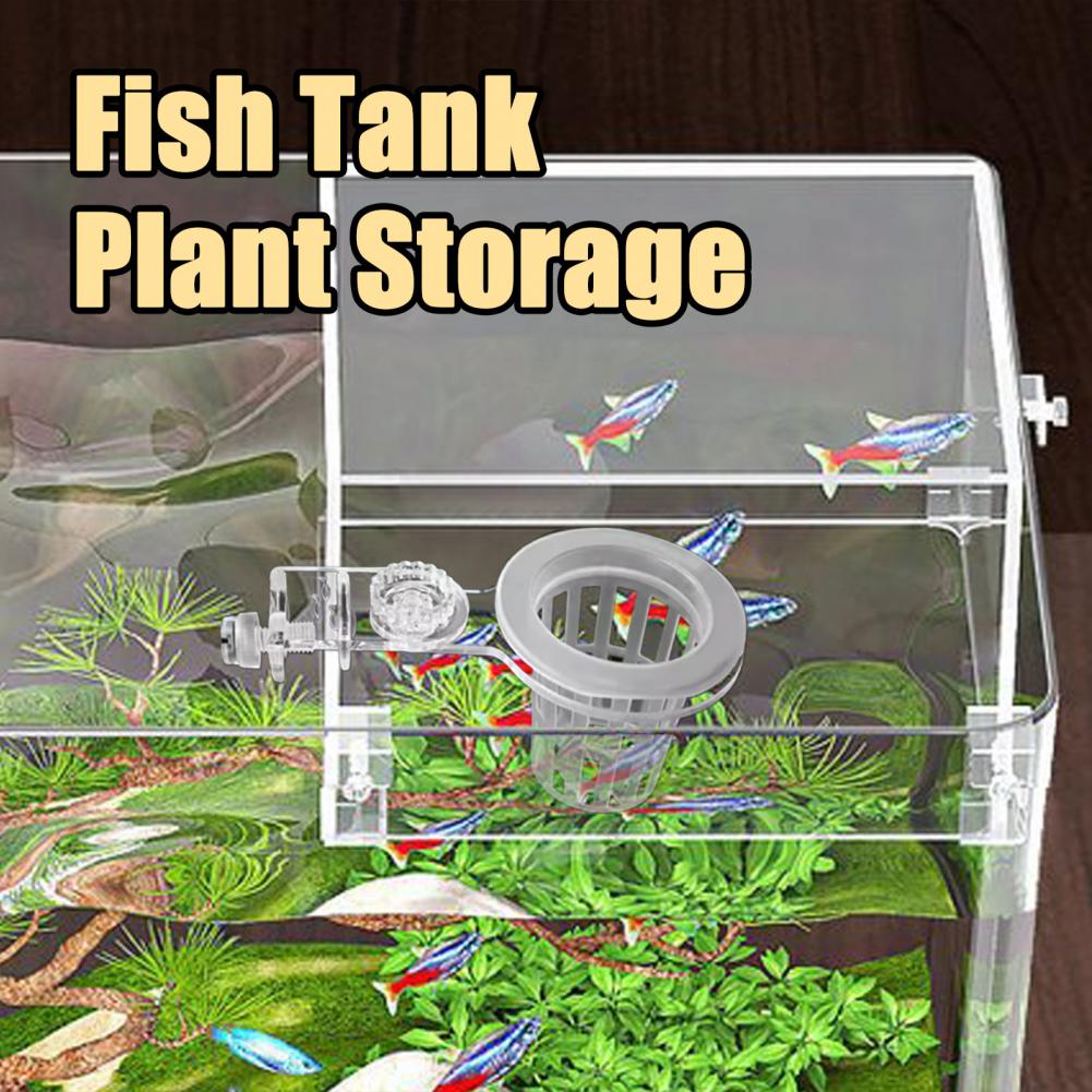 Aquarium Pflanzenhalter Wand-M – Aquarium Planted Wall Bewertung und Preis