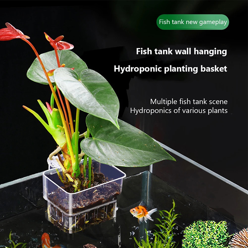 Neu: Hängender Aquarien-Pflanz – Aquarium Planted Wall Bewertung und Preis