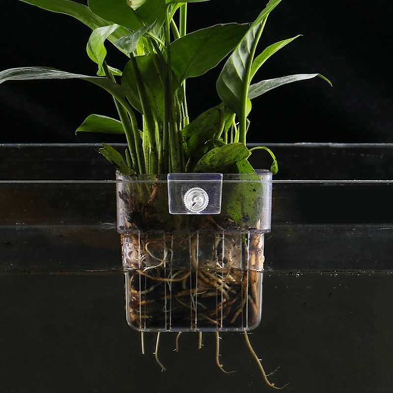 Neu: Hängender Aquarien-Pflanz – Aquarium Planted Wall Bewertung und Preis