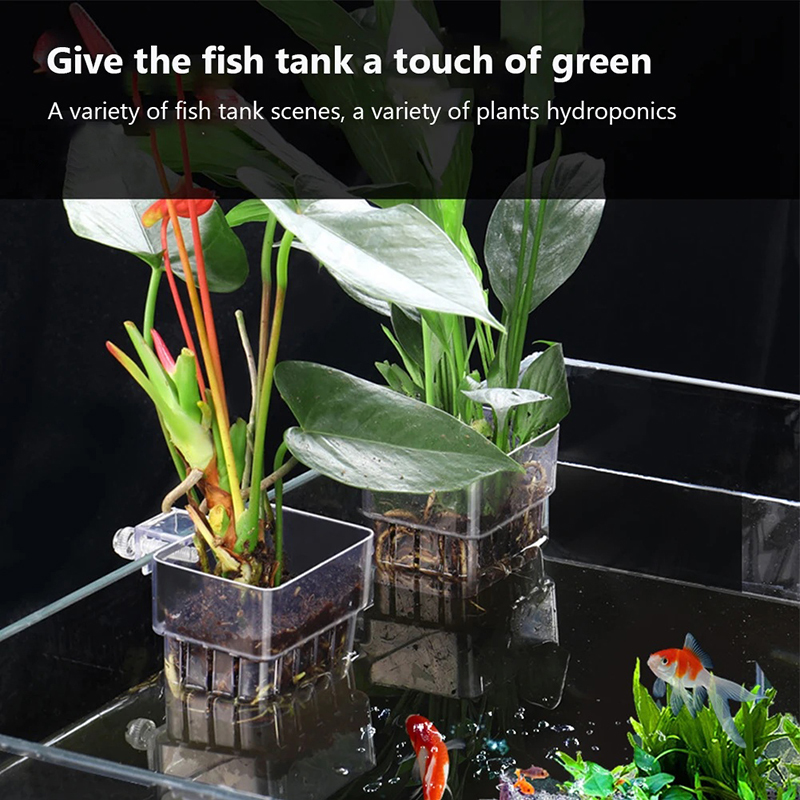Neu: Hängender Aquarien-Pflanz – Aquarium Planted Wall Bewertung und Preis