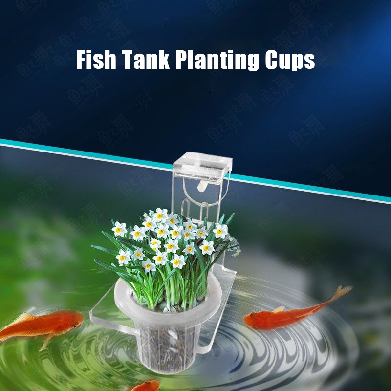 Aquarium Pflanzbecher Hydrokul – Aquarium Planted Wall Bewertung und Preis