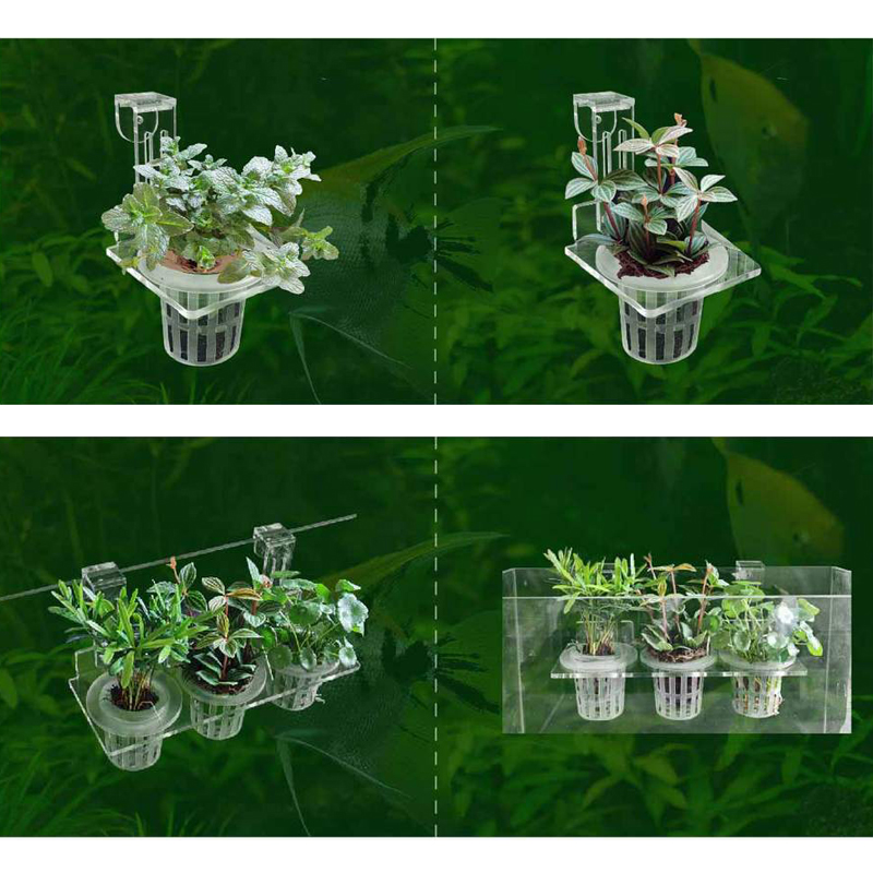 Aquarium Pflanzbecher Hydrokul – Aquarium Planted Wall Bewertung und Preis