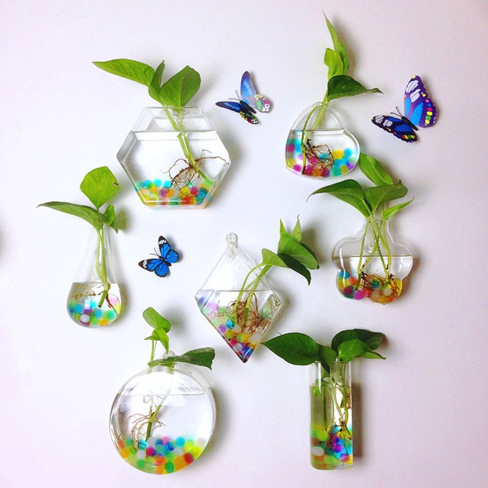 Kegelform Wandbehang Vase Hydr – Aquarium Planted Wall Bewertung und Preis