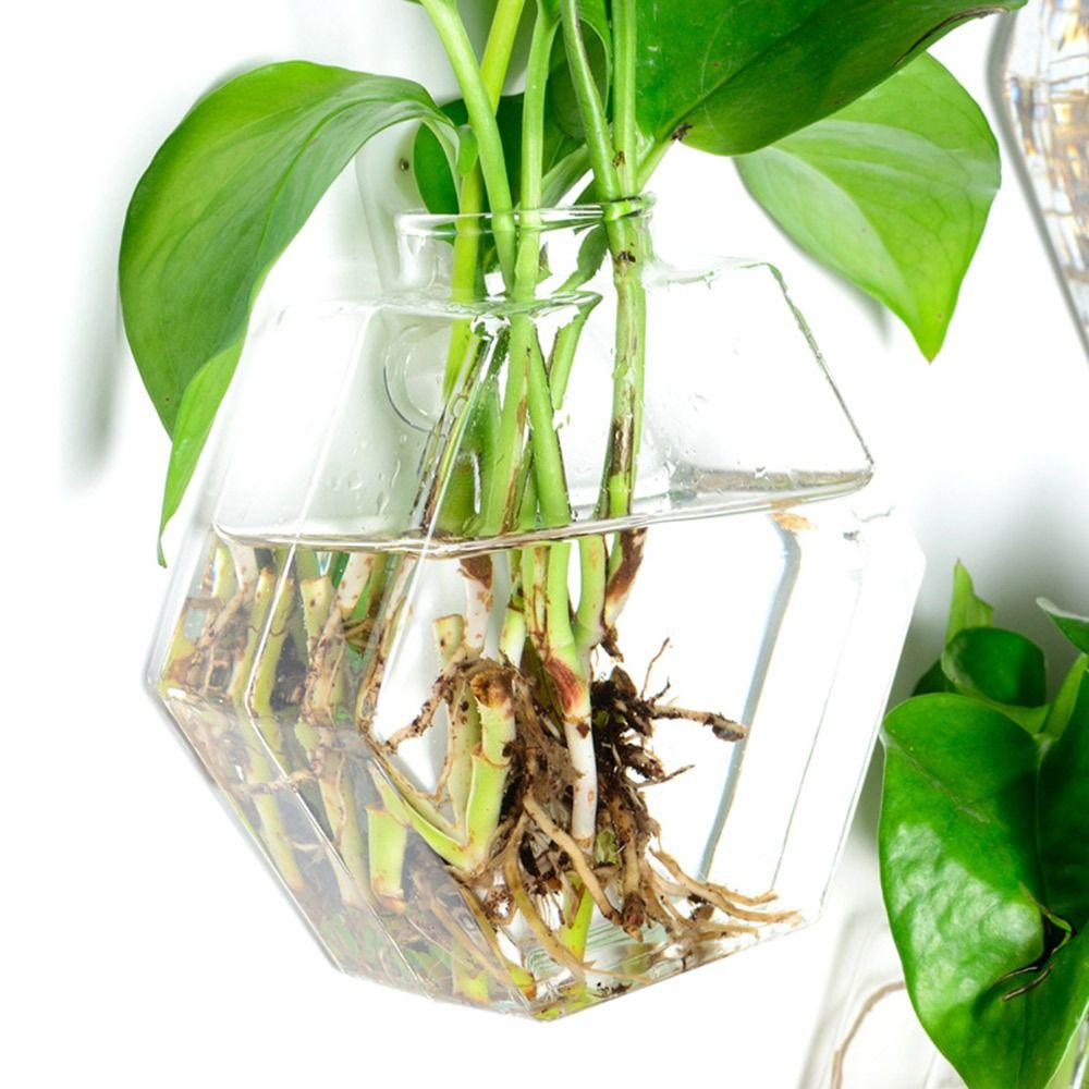 Kegelform Wandbehang Vase Hydr – Aquarium Planted Wall Bewertung und Preis