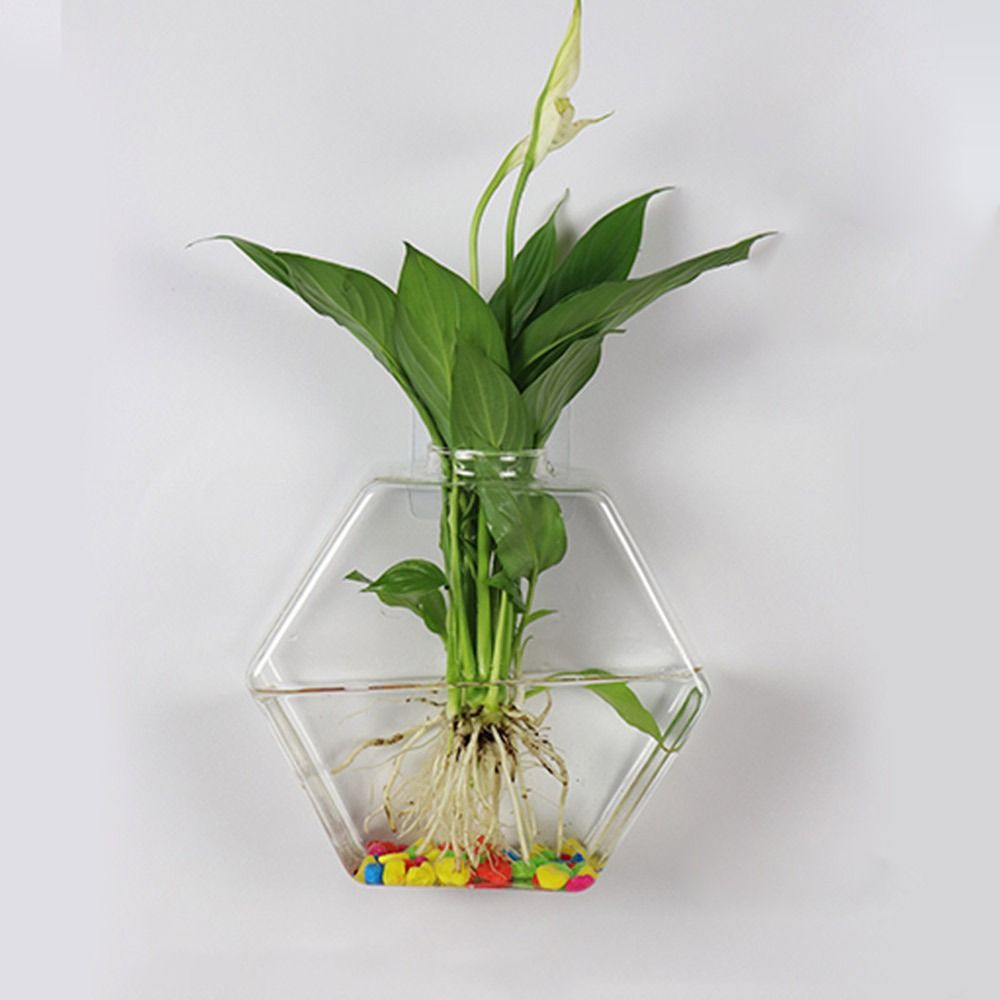 Kegelform Wandbehang Vase Hydr – Aquarium Planted Wall Bewertung und Preis