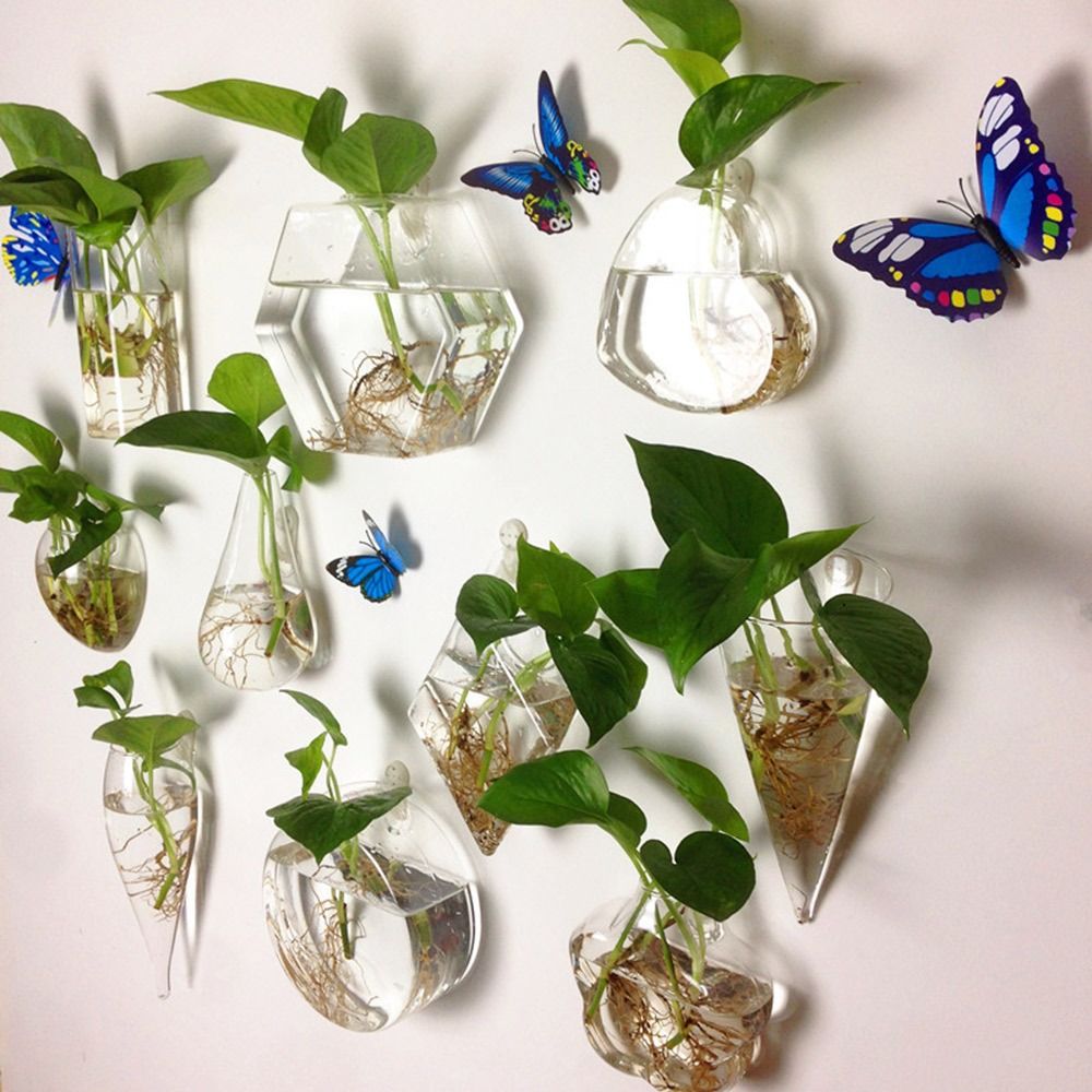 Kegelform Wandbehang Vase Hydr – Aquarium Planted Wall Bewertung und Preis