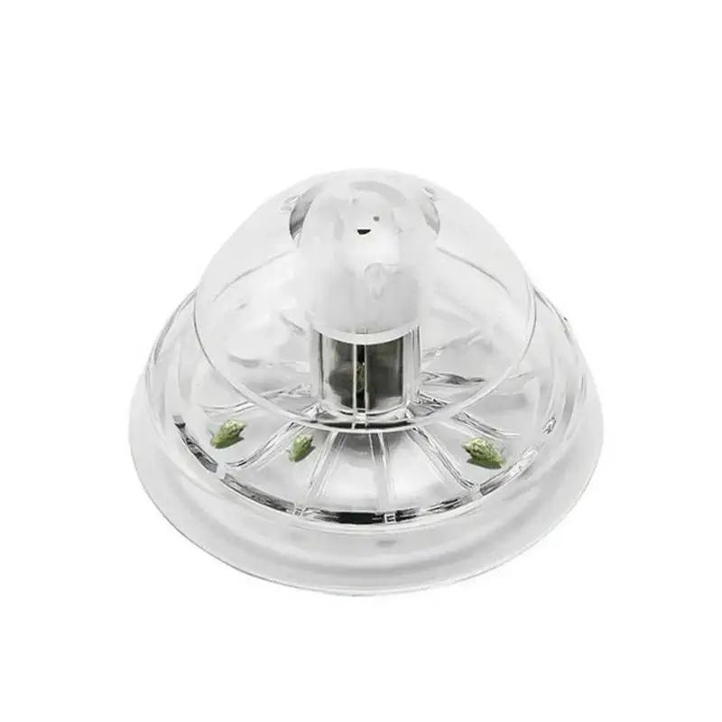 2026 Neu 6/8CM Klare Plastik-S – Aquarium Planted Fish Tank Bewertung und Preis