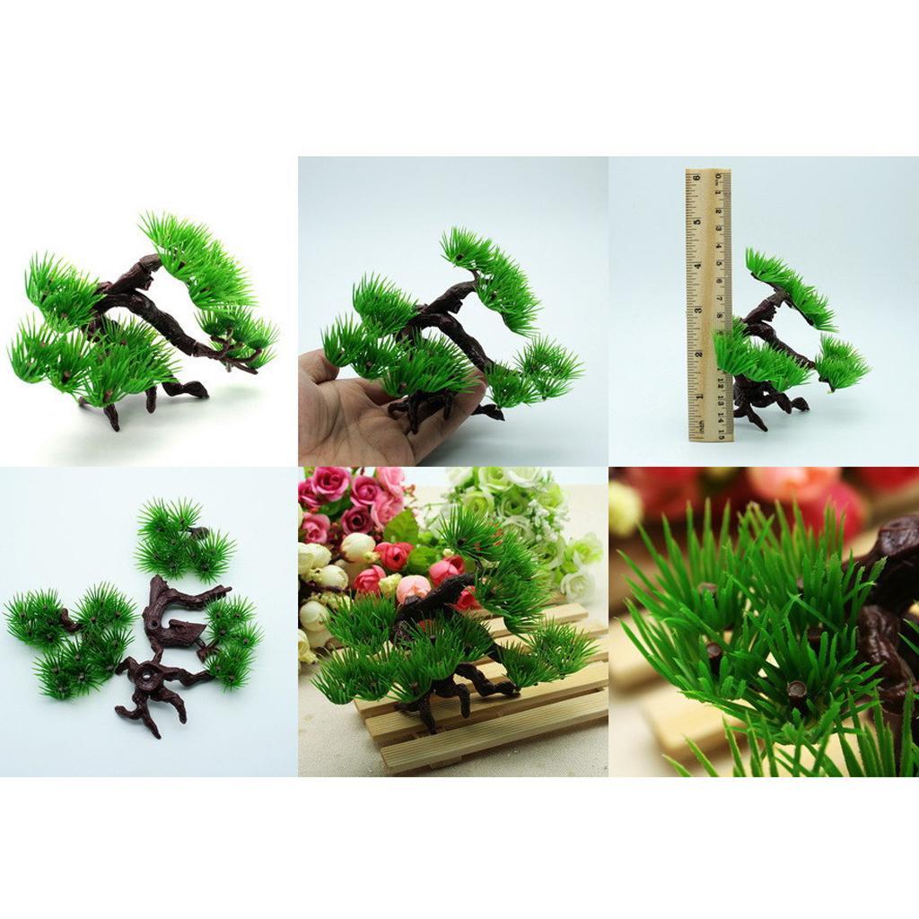 Unterwasserpflanzen Aquarium-D – Aquarium Planted Tree Bewertung und Preis