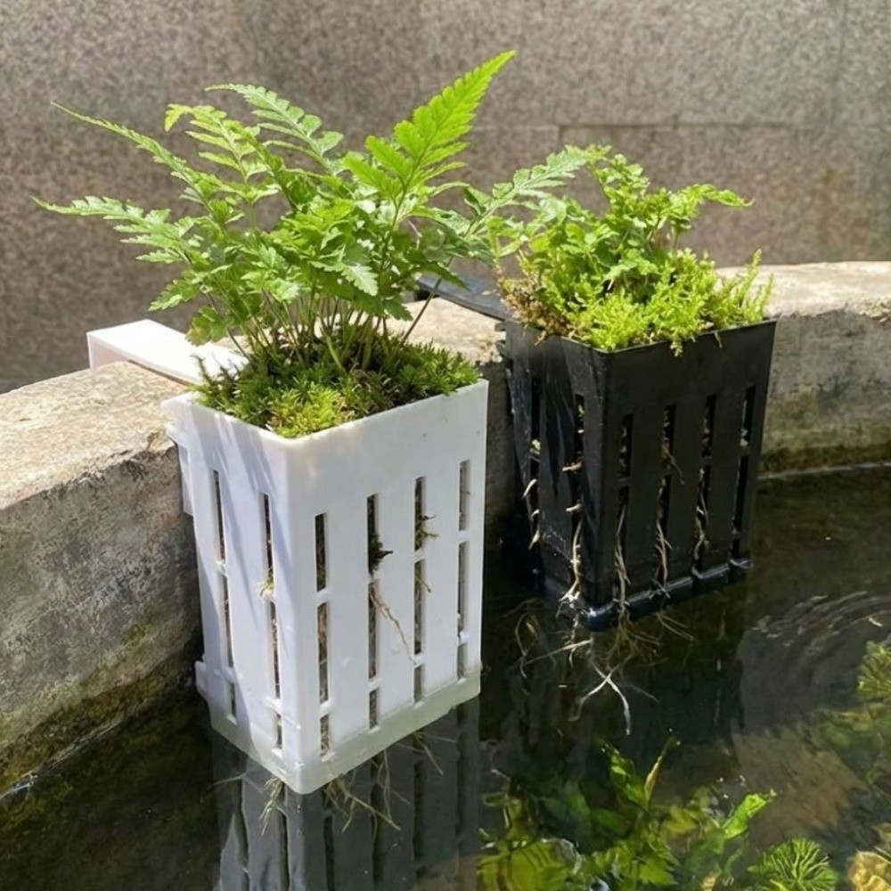 Wandmontierter Aquarium-Pflanz – Aquarium Planted Wall Bewertung und Preis