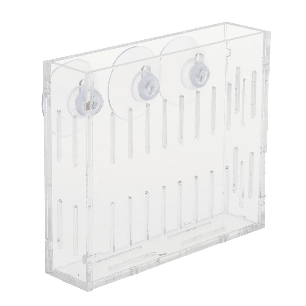 Acryl-Wandvase für Wasserpflan – Aquarium Planted Wall Bewertung und Preis