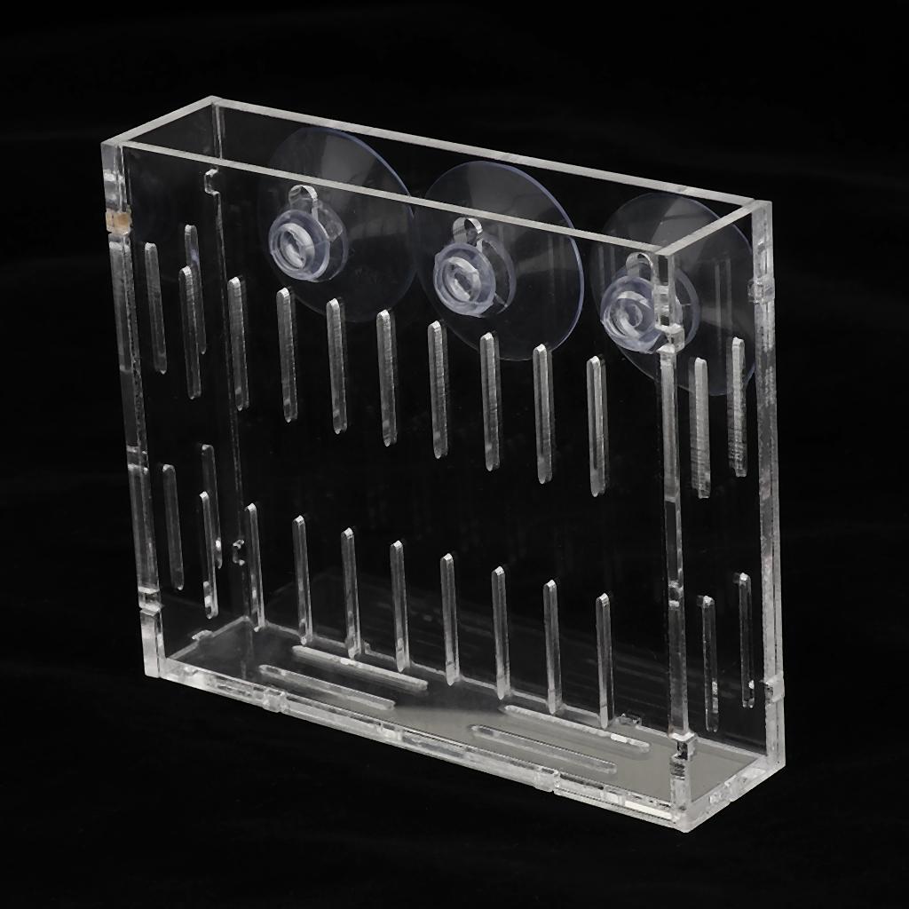 Acryl-Wandvase für Wasserpflan – Aquarium Planted Wall Bewertung und Preis