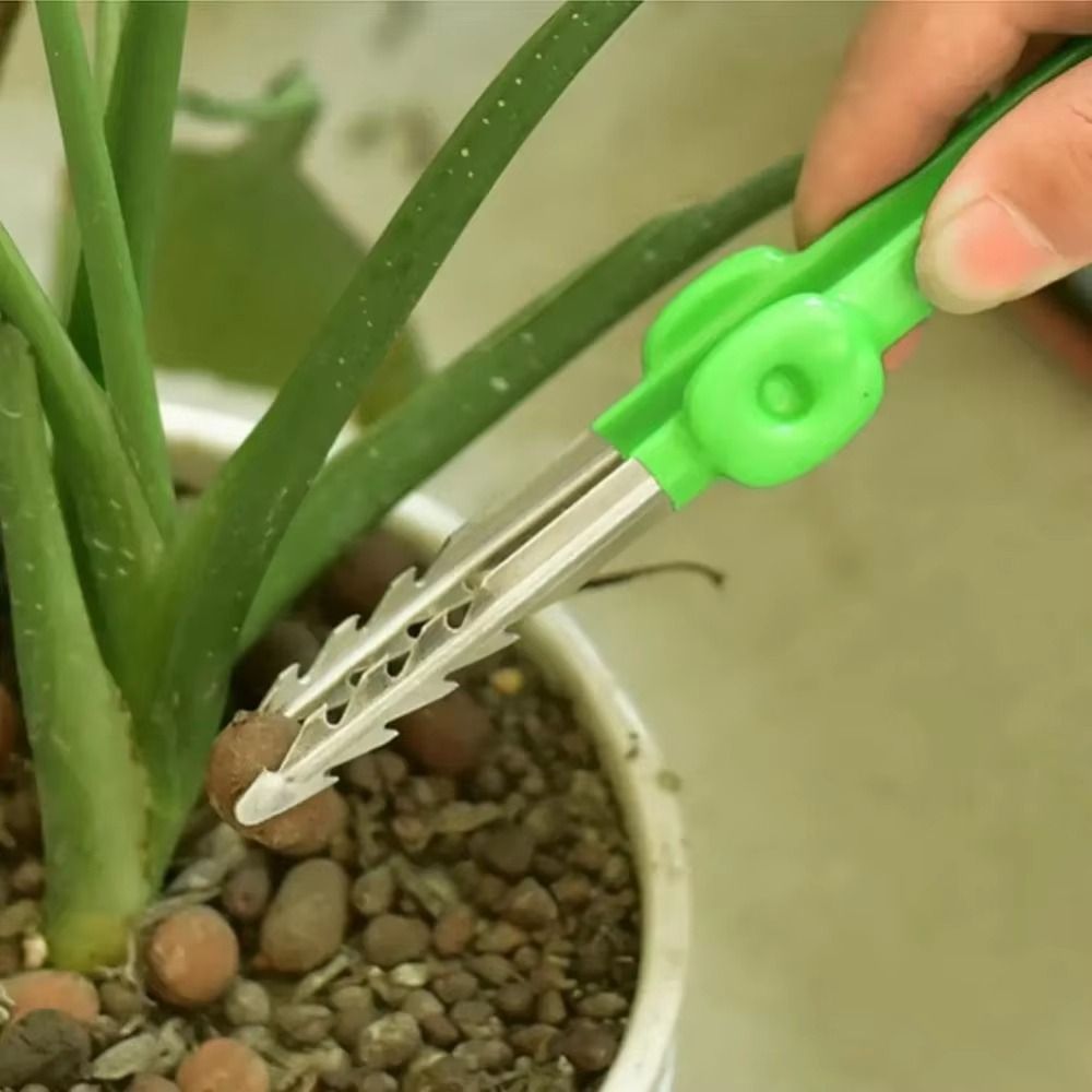 Stainless Steel Gardening Twee – Planted Clip Tweezers Bewertung und Preis