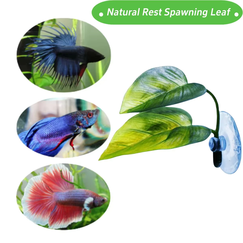 Aquarium-Zubehör Dekoration Kü – Aquarium Planted Fish Tank Bewertung und Preis