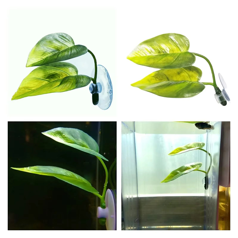 Aquarium-Zubehör Dekoration Kü – Aquarium Planted Fish Tank Bewertung und Preis