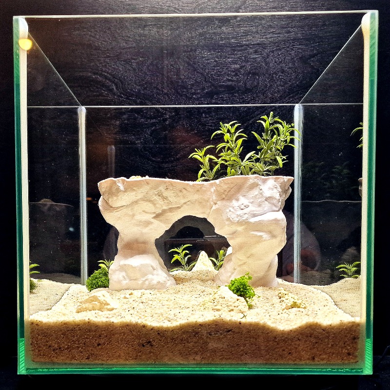 3D-gedruckter Aquarium-Pflanzk – Aquarium Planted Tank Soil Bewertung und Preis