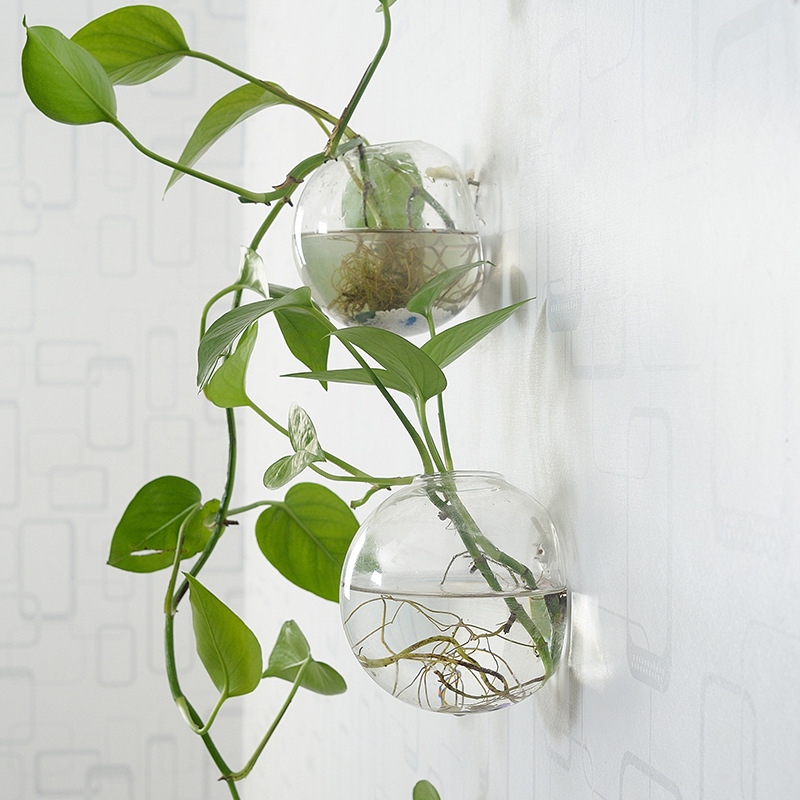 Wandbehang Acryl Fischschale P – Aquarium Planted Wall Bewertung und Preis