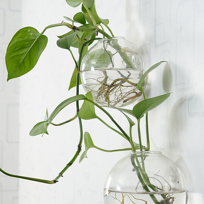 Wandbehang Acryl Fischschale P – Aquarium Planted Wall Bewertung und Preis