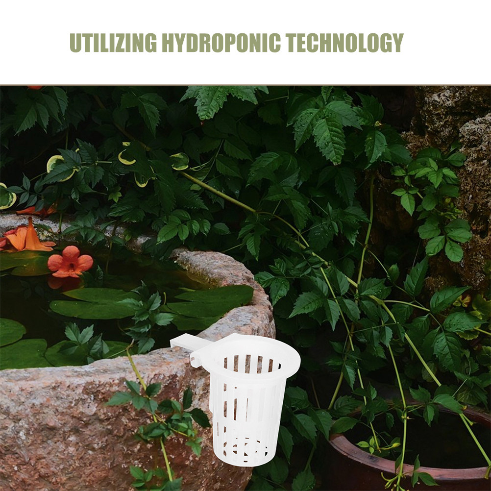 4 Stück Hydroponische Wandmont – Aquarium Planted Wall Bewertung und Preis