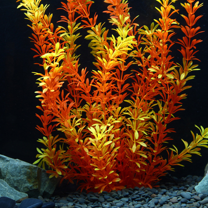 100cm Tropische Pflanzen, Groß – Aquarium Planted Tree Bewertung und Preis
