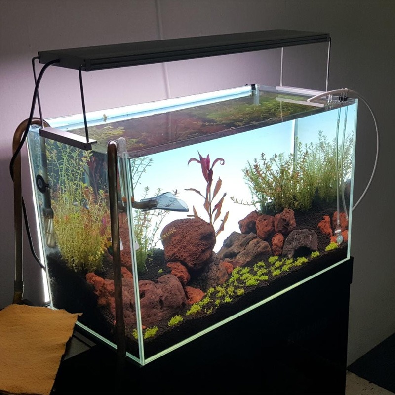Meistverkaufte LED-Aquariumlam – Planted Aquarium Best Fish Bewertung und Preis
