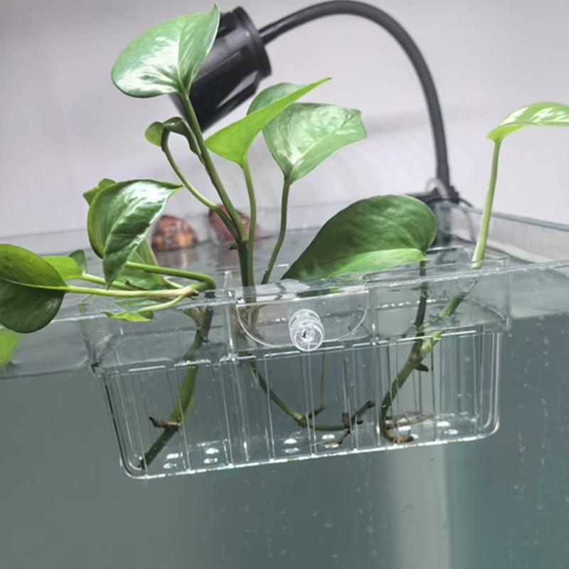 Hydroponischer Pflanzenkorb au – Aquarium Plants Bewertung und Preis