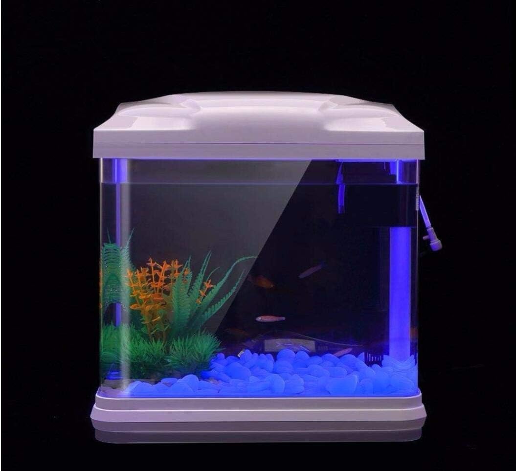 Aquarium-Felsen leuchten blaue – Aquarium Planted Fish Tank Bewertung und Preis