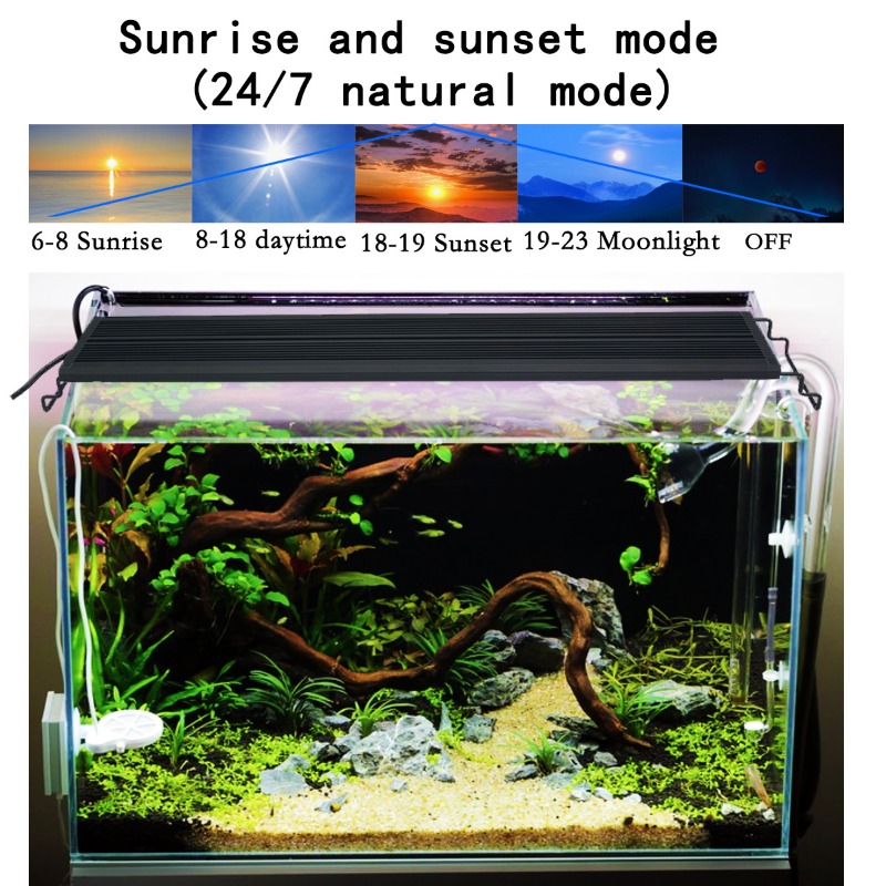 LED-Aquariumbeleuchtung Vollsp – Aquarium Planted Tank Light Bewertung und Preis