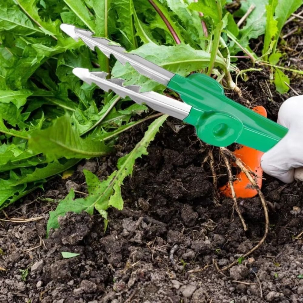 Edelstahl-Gartenpinzette Multi – Planted Clip Tweezers Bewertung und Preis