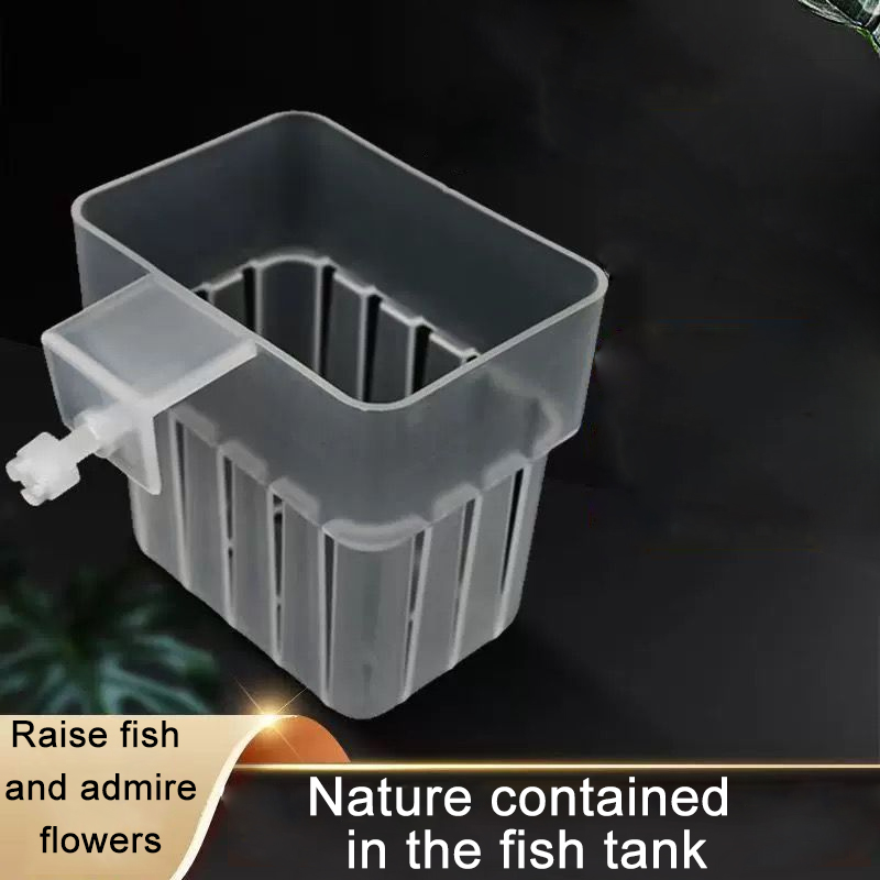 Transparenter Hydrokultur-Korb – Aquarium Planted Wall Bewertung und Preis